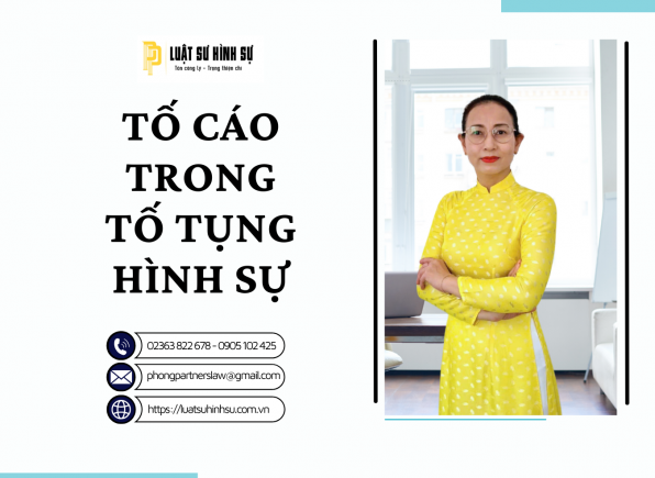 TỐ CÁO TRONG TỐ TỤNG HÌNH SỰ